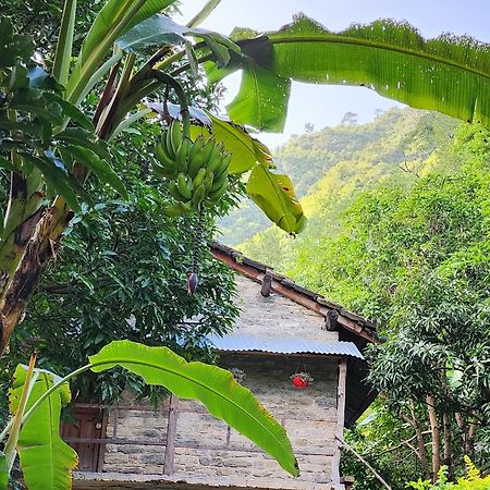 Hobo Huts By The Riverside Panuanaula Exterior photo