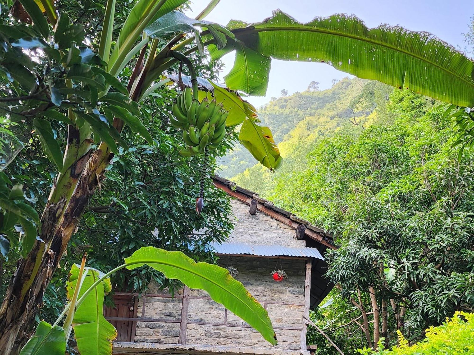 Hobo Huts By The Riverside Panuanaula Exterior photo