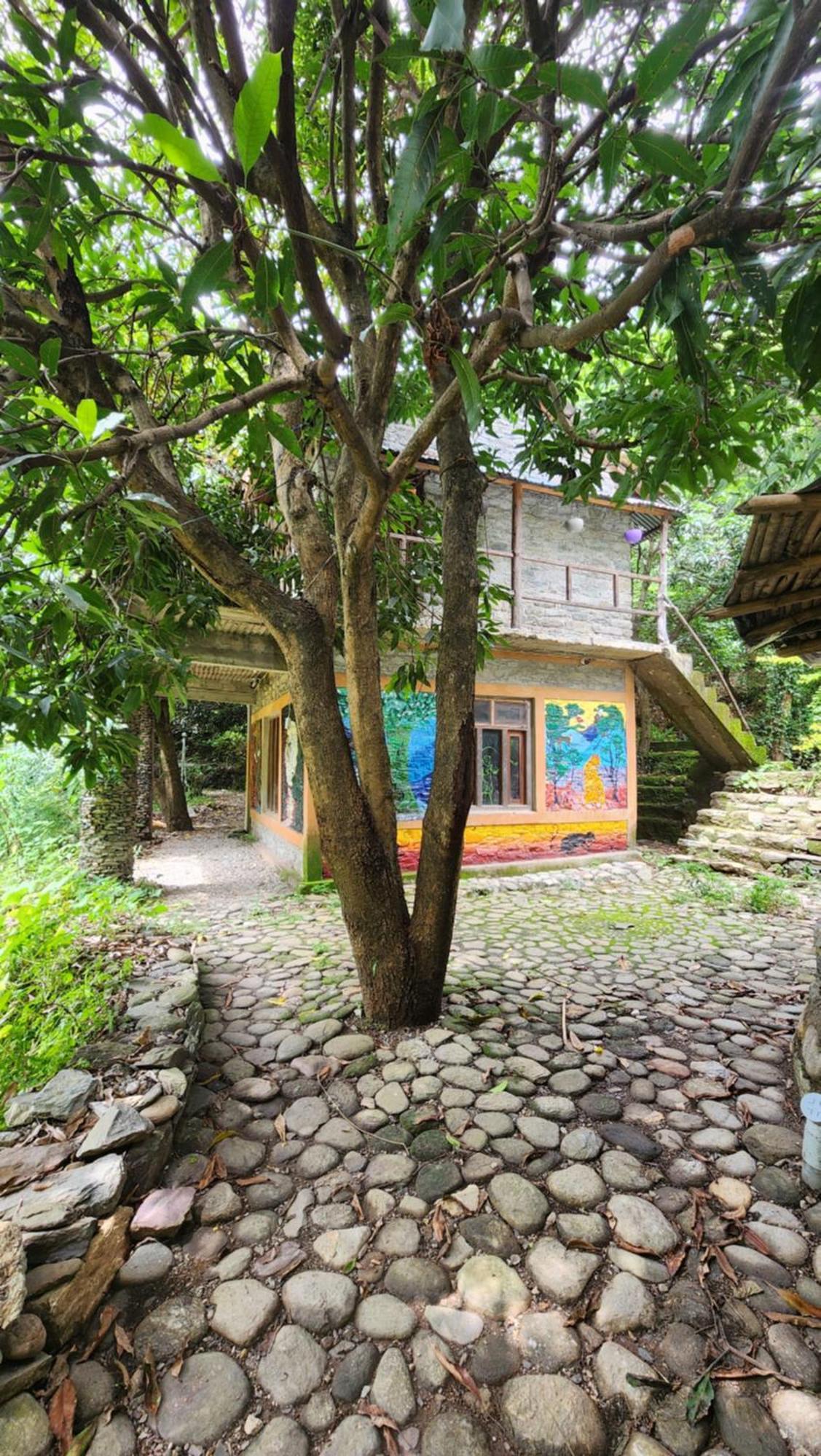 Hobo Huts By The Riverside Panuanaula Exterior photo